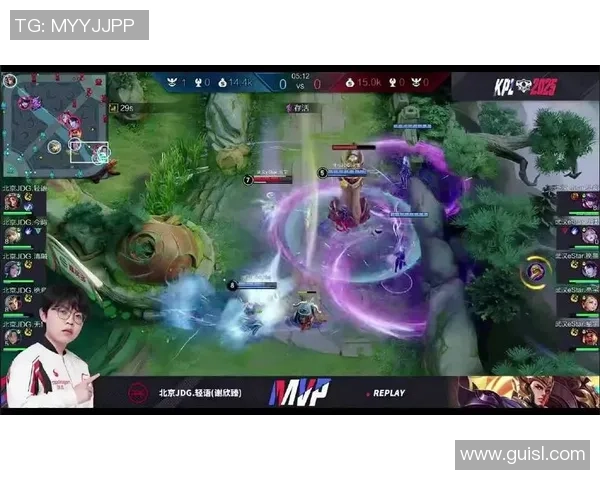 王者荣耀焦点：JDG的比赛经验探讨