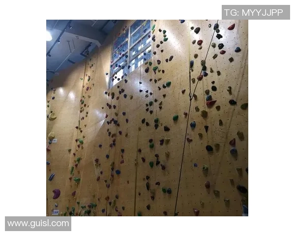 攀岩热议：南京攀岩队的意识争议_1