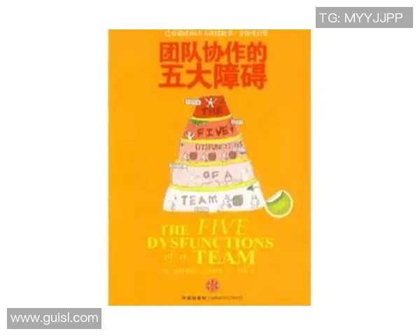 数据分析：上海极限运动队的团队协作表现